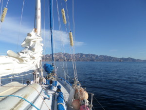 A PICTURE OF THE MAIN SAIL,BOOM,GOOSENECK WHEN IT'S ALL TOGETHER